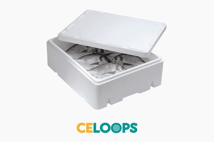 Czym charakteryzuje się CELOOPS?