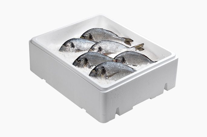 Kompleksowa ochrona wrażliwych produktów na każdym etapie​