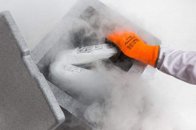 Ochrona jako element strategii bezpieczeństwa marki​